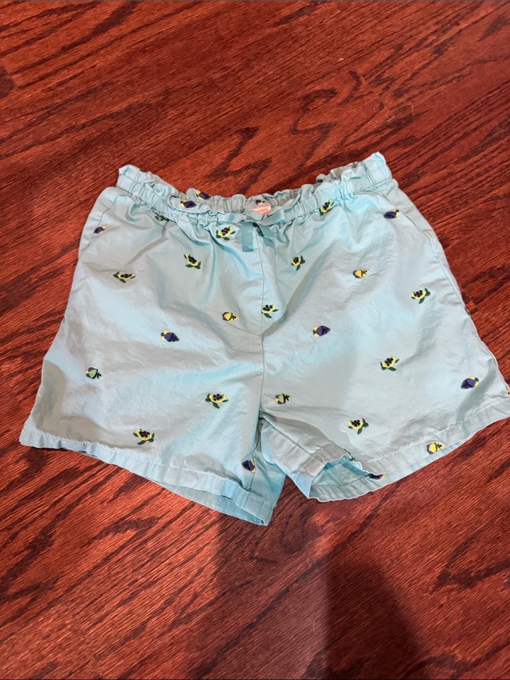 Gymboree Aqua Blue Kids Shorts with Fish & Turtle Multicolor Embroidery size 10
